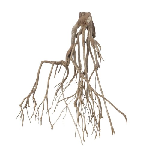 Radice acquario decorazione - radice,