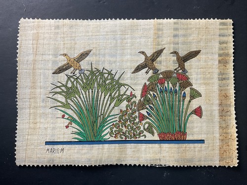 Autentico dipinto papiro