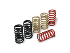 MOLLE FRIZIONE H40.5 CNC