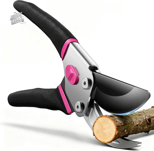 Professional pruning shears - pruning,