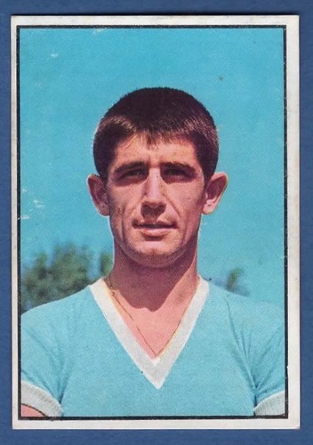 Figurina calciatori panini - figurina,