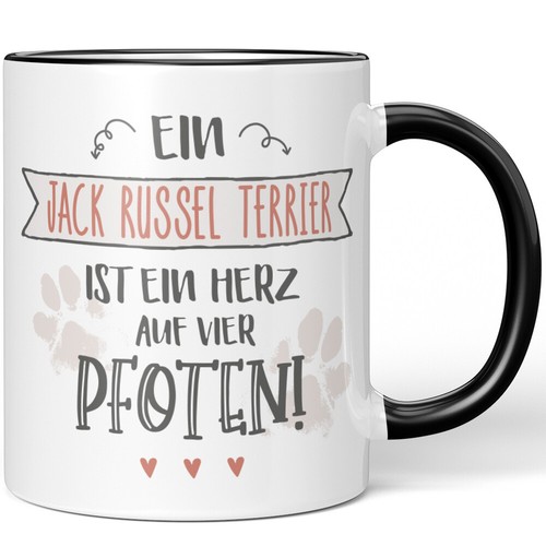 Jack russel terrier un - un,