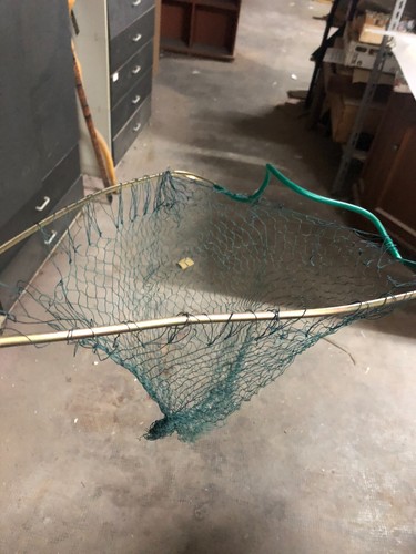 Guadino pesca