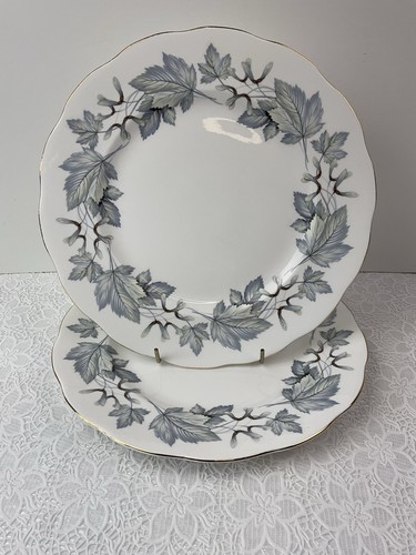 Royal albert silver maple - maple, 2