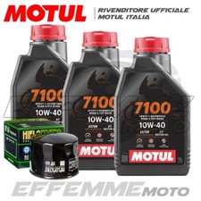 Tagliando BMW F 650 GS 2008 2009 2010 2011 2012 (MOTUL 7100 10W40 + Filtro olio)