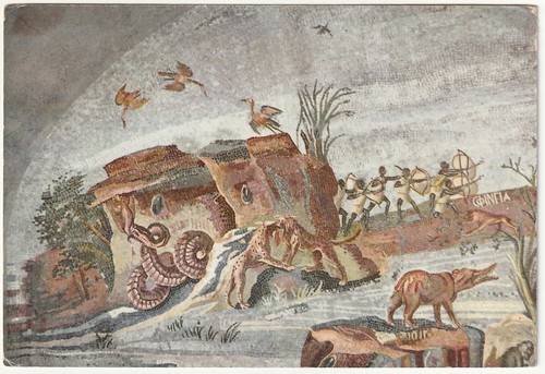 Palestrina roma museo - -,