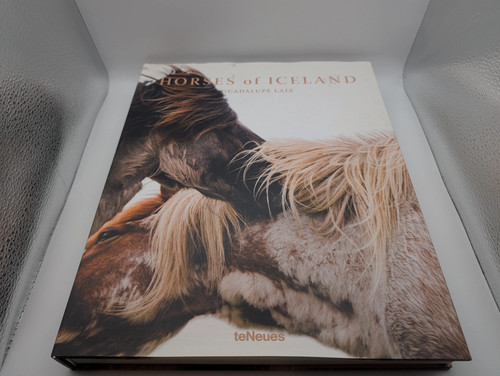 Horses iceland - of,