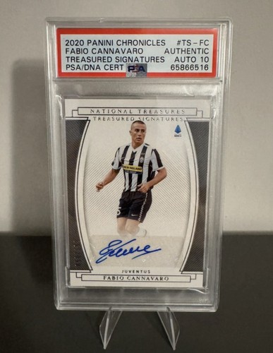 Fabio cannavaro panini - cannavaro,