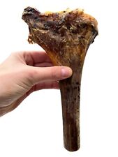 1 x struzzo di alta qualità