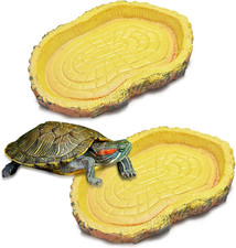 2 Pezzi Teca per Rettili