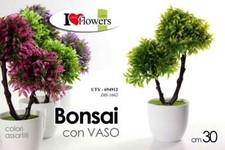 BONSAI PIANTA PIANTINA FINTA