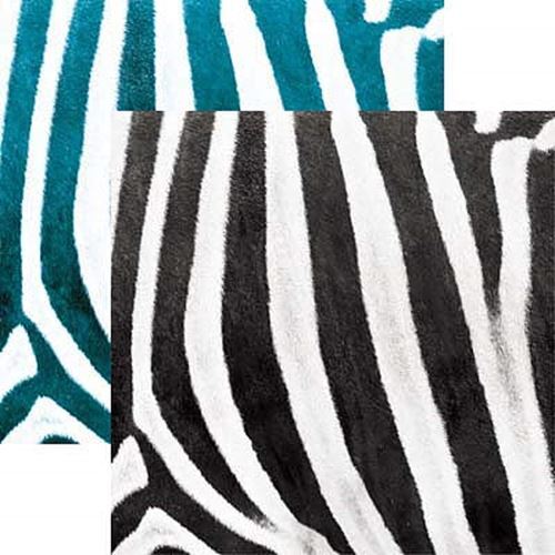 Stampa zebra animali - zebra,