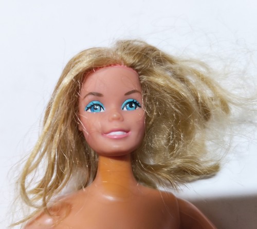 Barbie western superstar - barbie,