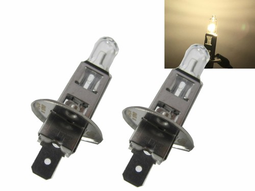 Lampadine 2pcs 55w alogena - 55w,