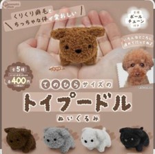 Barboncino giocattolo