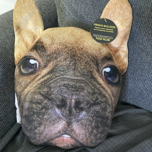 Cuscino tema cane bulldog