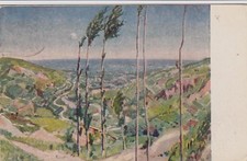 PREDAPPIO - serie n.14 Dal Monte delle Forche verso Forlì dis. T. Wolf-Ferrari