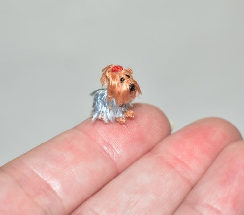 Miniatura uncinetto yorkshire - miniatura,