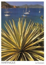 DOM-TOM-MARTINIQUE LE