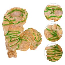  Accessori Per Rettili Casetta