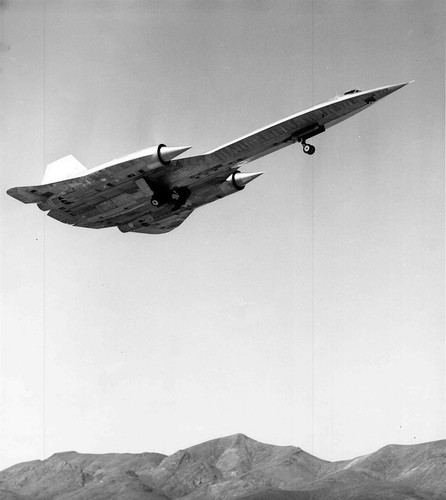 Schalk flight area - flight, 51