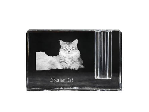 Gatto siberiano portapenne - gatto,