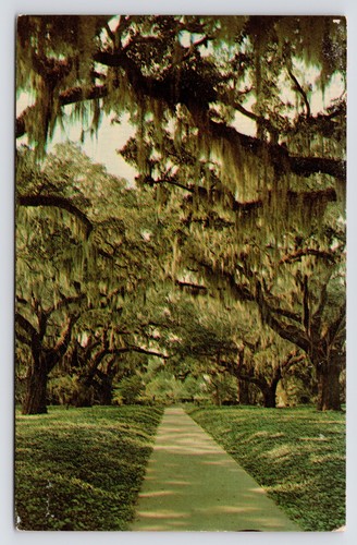 C1960s brookgreen gardens - brookgreen,