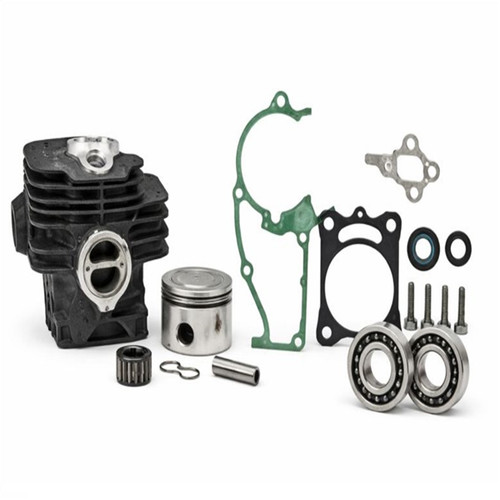 Kit revisione motosega stihl - revisione,