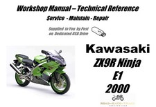 Kawasaki ZX9R ZX-9R Ninja E1