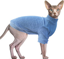 Vestiti per Gatti Sphynx