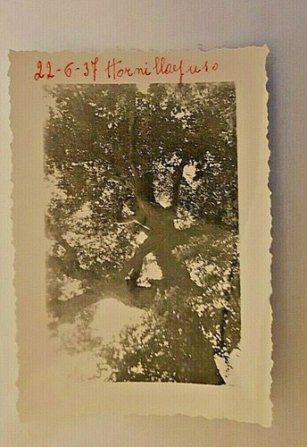 Foto epoca hornillayuso 1937 - foto, d'epoca
