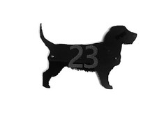 Basset Fauve de Bretagne