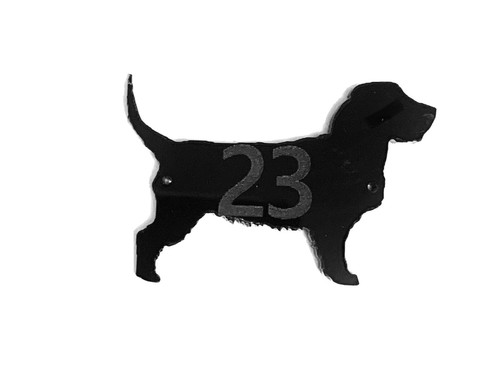 Basset fauve bretagne - fauve, de