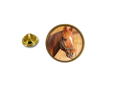 Spilla pin badge - badge, in