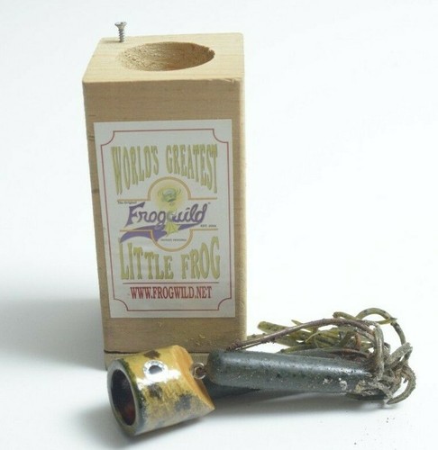 2001 frog wild little - 2001,