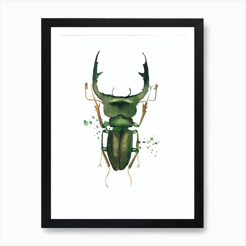Stampa artistica scarabeo