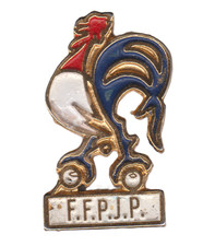 Pin's FFPJP - Fédération