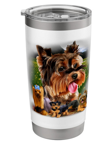 Yorkshire terrier yorky - yorkshire,