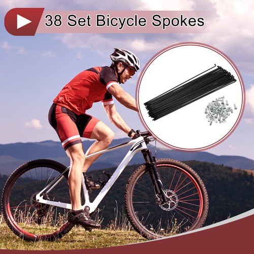 Set raggi bici 13g - 38, 210mm