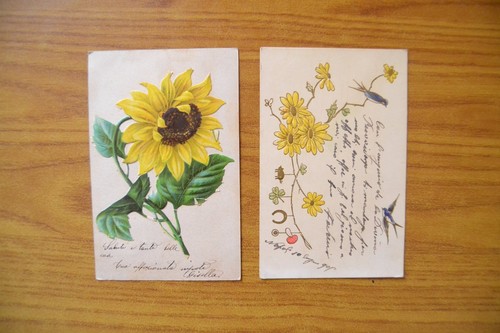 Lot postcards depicting - of,