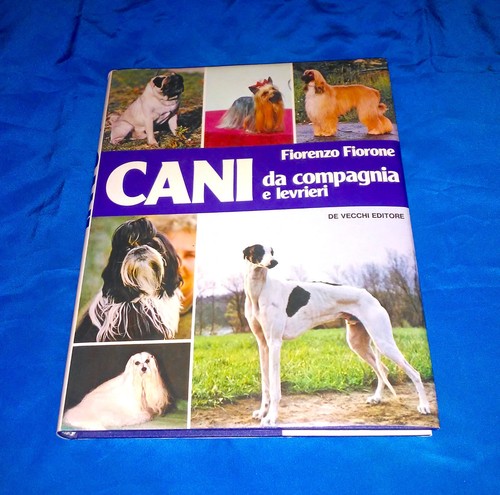 Cani compagnia levrieri - compagnia,