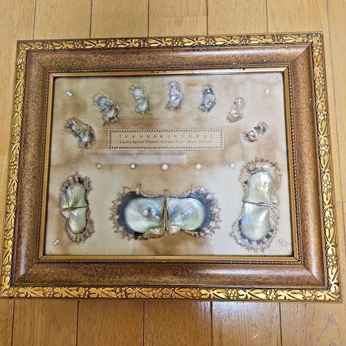 Espositore vintage mikimoto - espositore,