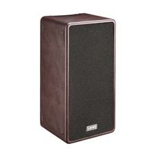 Laney A-DUO Amplificatore