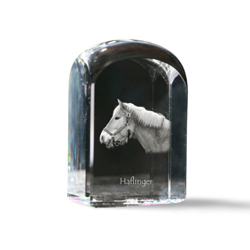 Haflinger cristallo sigillo