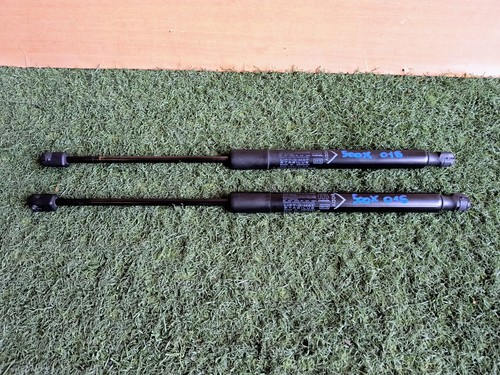 Coppia pistoncini baule - coppia,