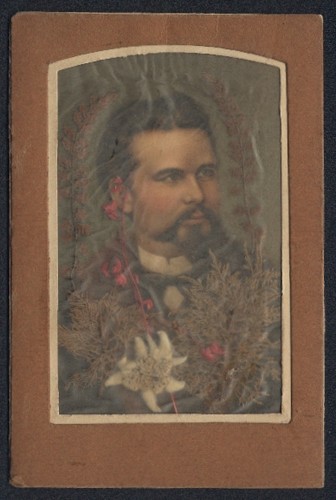 Cartolina fiori secchi