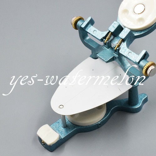Articolatore magnetico bocca
