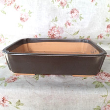 buon colore Medium "