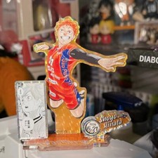 Haikyuu insegna shoyo hinata - shoyo,