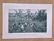 Francesco Gioli Durante la